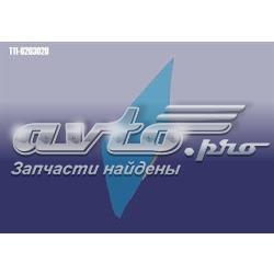 T116203020 Chery Скло задньої двері правої
