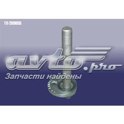T112919035 Chery Болт кріплення заднього розвального важеля, внутрішній