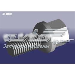 A113100111 Chery Болти до колеса