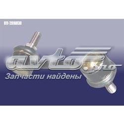 FT301615SC Fitshi Стійка стабілізатора задня