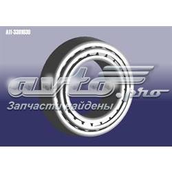 A113301030 Chery 