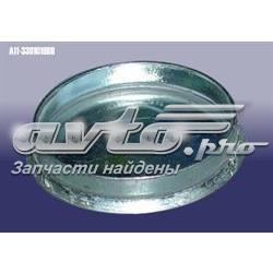 A113301019BB Chery Заглушка маточини