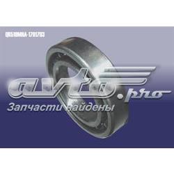 QR519MHA1701703 Chery 