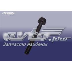  473F1002024 Chery