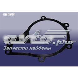 481H1307041 Chery Прокладка водяної помпи