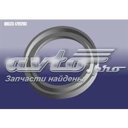 QR5231701203 Chery Сальник переднього моста