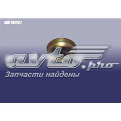 4801002017 Chery Заглушка головки блока