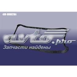 RD4801009021BA Rider Прокладка пробки піддону двигуна