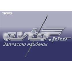 T116203210 Chery Ущільнювач скла задніх дверей лівих, зовнішній (планка)