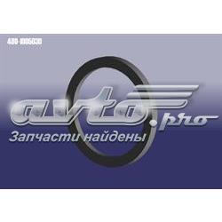 4801005030 Chery Сальник коленвала корінний