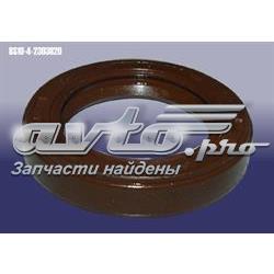 BS1042303820 Chery 