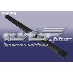 Купити A216102470DQ Chery Молдинг задніх лівих дверей