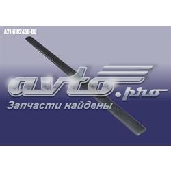 Купити A216102450DQ Chery Молдинг передньої лівої двері