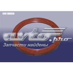 481H1005030 Chery Сальник коленвала корінний