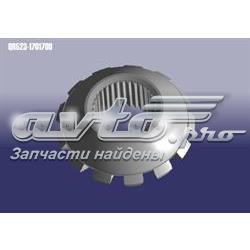  Chery QR5231701709