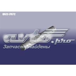 Купити QR5231701712 Chery 