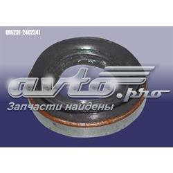 QR523T2402241 Chery 