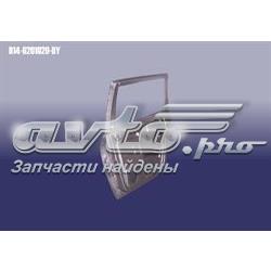 B146201020DY Chery Двері пасажирські задні праві