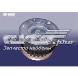 481H1005051 Chery 