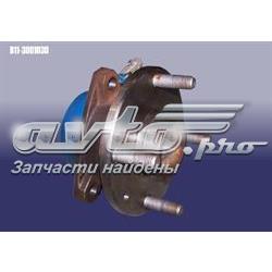 B113001030 Chery Маточина (передня)