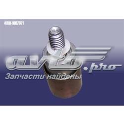 481H1007071 Chery Паразитний провідний ролик
