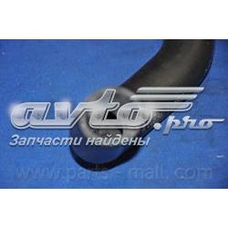 Шланг/патрубок радіатора охолодження, нижній KAP KM0600550