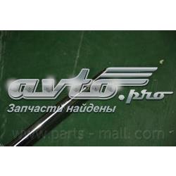 Амортизатора передній лівий PJAFL020 Parts-Mall
