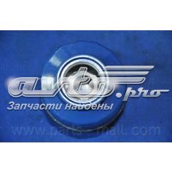 Фільтр паливний Parts-Mall PCA003