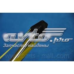 Амортизатора передній лівий PJBFL029 Parts-Mall