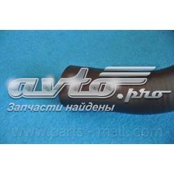 Шланг/патрубок радіатора охолодження, нижній PXNLC046 Parts-Mall