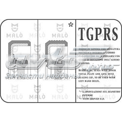 R7030RARNT Freccia Клапан випускний