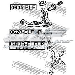  0635ELF Febest