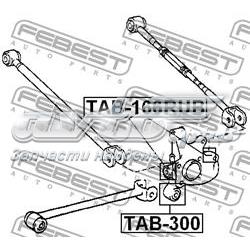 Сайлентблок цапфи задньої TAB166RUB Febest