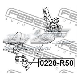 Купити 0220R50 Febest Кульова опора, нижня
