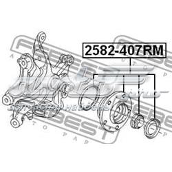 Маточини задніх коліс Febest 2582407RM ціна, від 47.97 USD