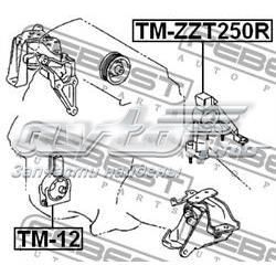 TMZZT250R Febest подушка (опора двигуна, задня)