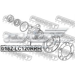Маточина задня права 0182LC120RRH Febest