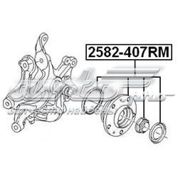 2582407RM Febest Маточина задня