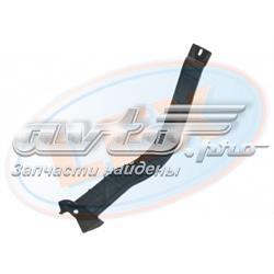 3007076 Polcar 