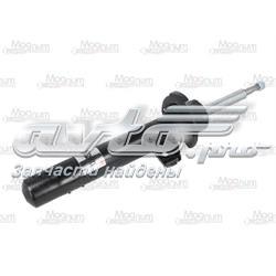 Амортизатор передньої підвіски, лівий Magnum Technology AGB076MT ціна, від 38.95 USD