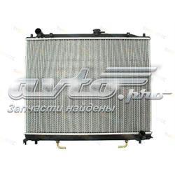 D75012TT Thermotec Радіатор охолодження двигуна