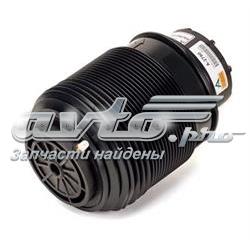 Пневмоподушка задня Arnott A2790