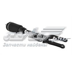 Стойка амортизатора передняя Arnott AS2792 ціна, від 385.28 USD