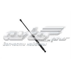 B14198 Borsehung Амортизатор кришки багажника / двері 3/5-ї задньої
