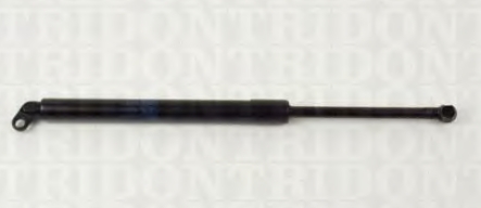 Купити 51248222913 BMW Амортизатор двері багажника