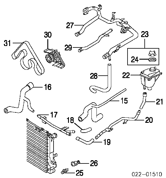 Шланг/патрубок радіатора охолодження, нижній Audi A6 (4A, C4) (Ауді A6)