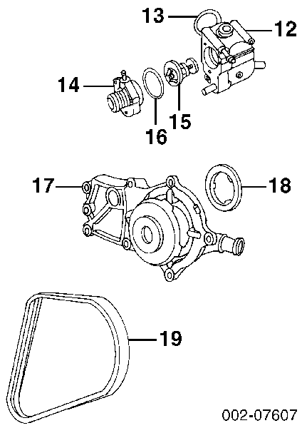 Ремінь приводний, агрегатів F8RZ8620BB Ford