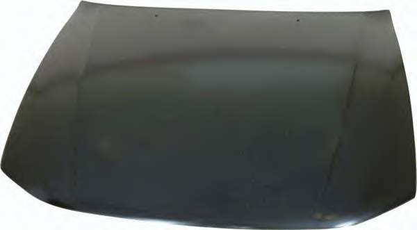 Капот Mitsubishi MMR273242 ціна, від 77.60 USD