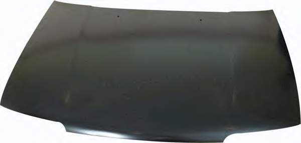 Капот Nissan/Infiniti 6510090J30 ціна, від 101.33 USD