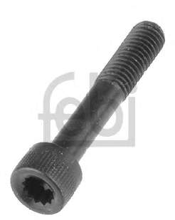 Болт/гайка кріплення 03004 Febi